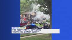 Fire breaks out in Cherry Hill, family dog pulled to safety News Clip