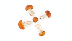 Top view from above of several forest foxy red cap bolete mushrooms. propeller shaped. Rotating on the turntable isolated on the white background. Close up. Macro. Stock Footage