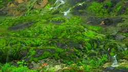 Chatsubomigoke Park at Nakanojo, Gunma, Japan Stock Footage