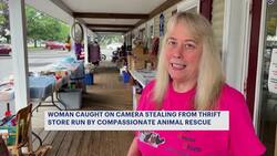 Caught on Camera: Woman seen stealing from animal shelter's thrift shop at least 6 times since mid-May News Clip