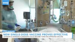 Newsy's Latest Headlines News Clip