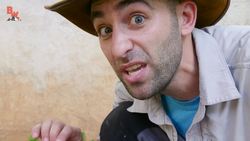 Rescued Baby Toucan Instructional Video