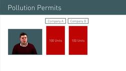 Introduction to Pollution Permits and Government Intervention Instructional Video