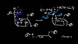 Phospholipase C, IP3, DAG, and Ca2+ Instructional Video