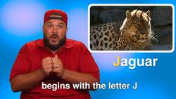 Learn to Sign the Alphabet Instructional Video