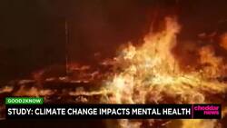 Study: Climate Change Impacts Mental Health News Clip