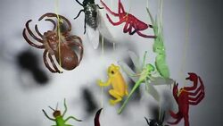 Atmosphere of Halloween Stock Footage