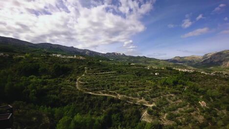 Preserving Nature at Hotel Vivood
