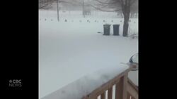 ‘Just look at it!’: Winter weather wows western P.E.I. woman News Clip