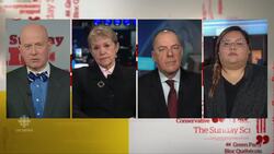 Carney urges financial sector to act on climate change | Sunday Scrum News Clip