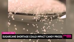 Sugar Shortage Could Mean an Expensive Halloween News Clip