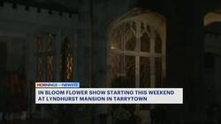 Lyndhurst In Bloom flower show is this weekend at Lyndhurst Mansion News Clip