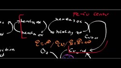 Cytochrome c Oxidase Instructional Video