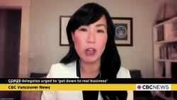 These are the health concerns being debated at COP29 News Clip