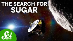 A Sugar-Coated Asteroid May Have Made All Life Possible Instructional Video
