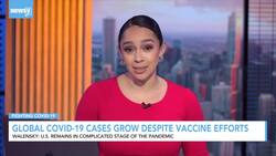 Global COVID Cases Grow Despite Vaccine Efforts News Clip