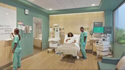 Advocates unveil renderings of reimagined SUNY Downstate facility News Clip