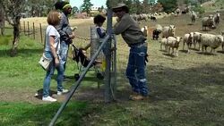 A family with two children visited an organic farm Stock Footage