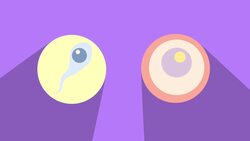 The Wonders of Life Cycles: From Birth to Renewal Instructional Video