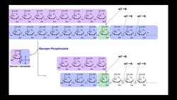 Biochemistry of Glycogenolysis EXPLAINED Instructional Video