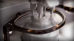 Aaron Becomes a Medical Tourist after a Monkey Mugging Instructional Video