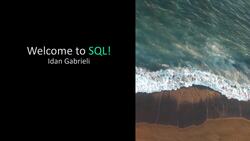 Master SQL for Data Analysis - Welcome to Level 1! Instructional Video
