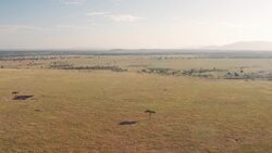 Soaring Over Savannah: Drone Views of Kenya's Maasai Mara Stock Footage