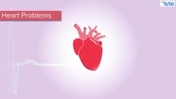 Noise Pollution: Prevention and Control Instructional Video