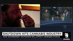 Government Shutdown Leaves Budding Cannabis Producers in Limbo News Clip