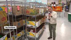 Annual Make the Season Kind campaign aims to help P.E.I. food banks News Clip