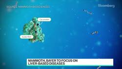 Mammoth Bio CEO on Bayer Pact to Make Crispr Therapies News Clip
