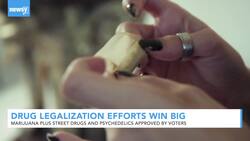 Drug Legalization Efforts See Big Wins In Election News Clip
