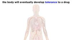 Drug Addiction and the Brain Instructional Video