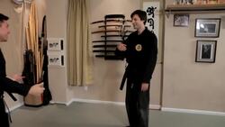 How to Do the Yoko Geri aka Sideways Kick in Ninjutsu Instructional Video