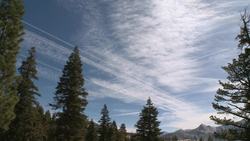 Contrails Instructional Video