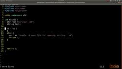 C++ Standard Template Library in Practice - Low Level I/O Instructional Video