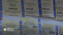 What these Kingsville residents would do with a $100K winning lottery ticket if it was theirs News Clip
