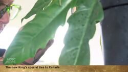 King Charles’s deep ties to Canada News Clip