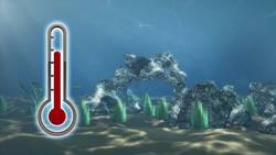 Study finds increased toxic mercury levels in tuna and cod Instructional Video