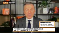 ING's Garvey on Fed Assessing Financial Conditions News Clip