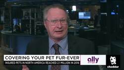 Do You Need Pet Insurance? (Hint: No) News Clip