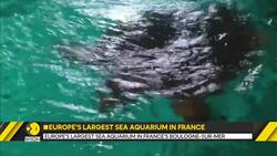 Nautical Museum: Home to 58,000 animals, attracts million tourists News Clip