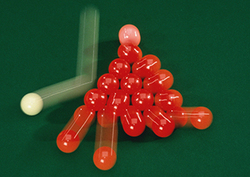 El momento Instructional Video