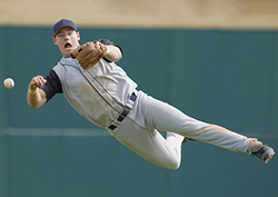 Factpack: Reflex Arcs Instructional Video