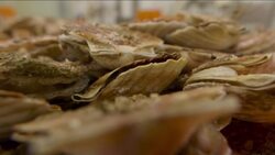 Here's what's at stake as EU ministers kick off negotiations on post-Brexit fishing quotas News Clip