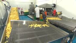Two Farmers Crisps factory production line News Clip