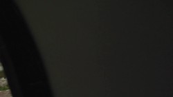 Flash: Goldfish Instructional Video