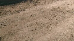 Samantha Kinghorn Training for the Paralympics News Clip