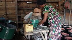CLEAN : More efficient stoves fight deforestation in the DRC News Clip