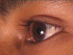 Fundamentals of Genetics: Video Quiz Instructional Video